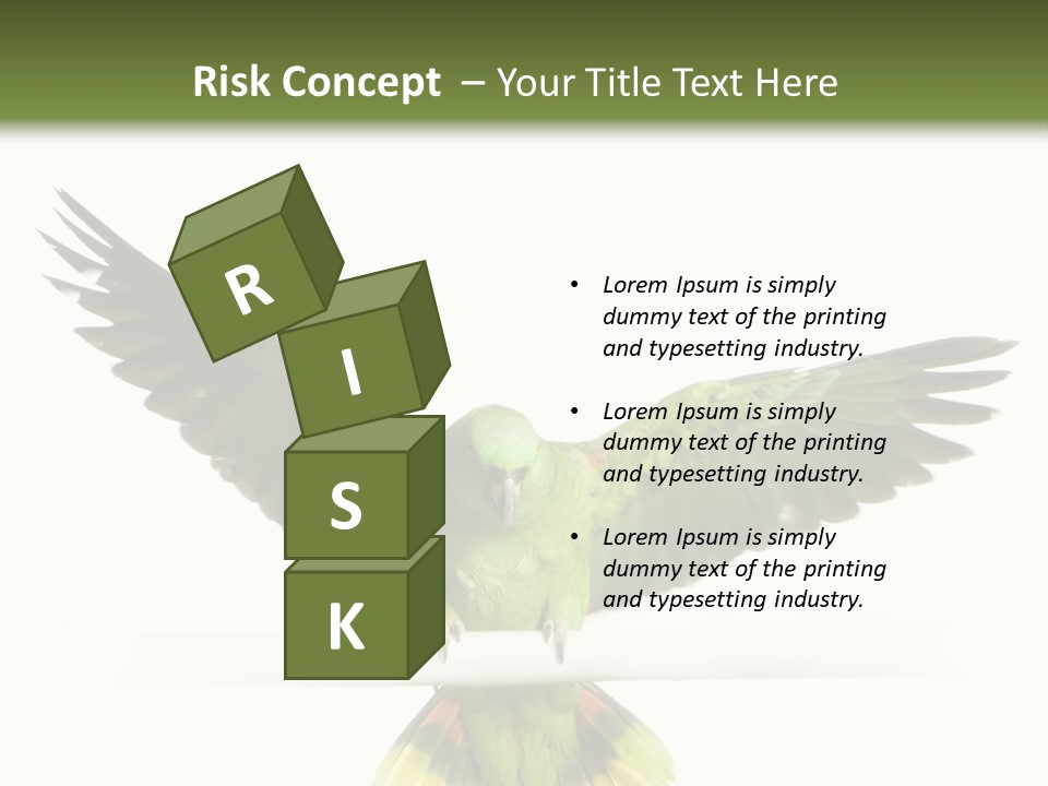 Yellow-Naped Parrot In Front Of A White Background PowerPoint Template