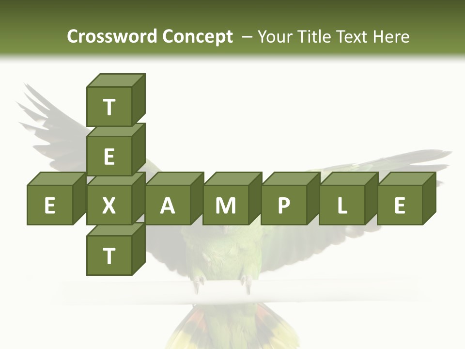 Yellow-Naped Parrot In Front Of A White Background PowerPoint Template