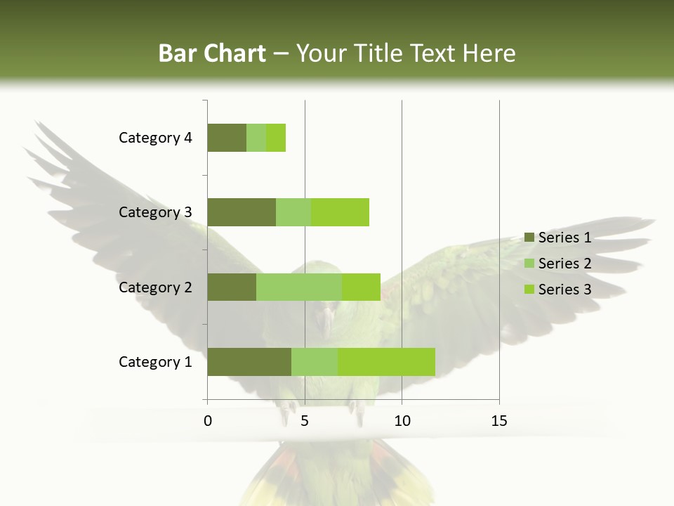 Yellow-Naped Parrot In Front Of A White Background PowerPoint Template