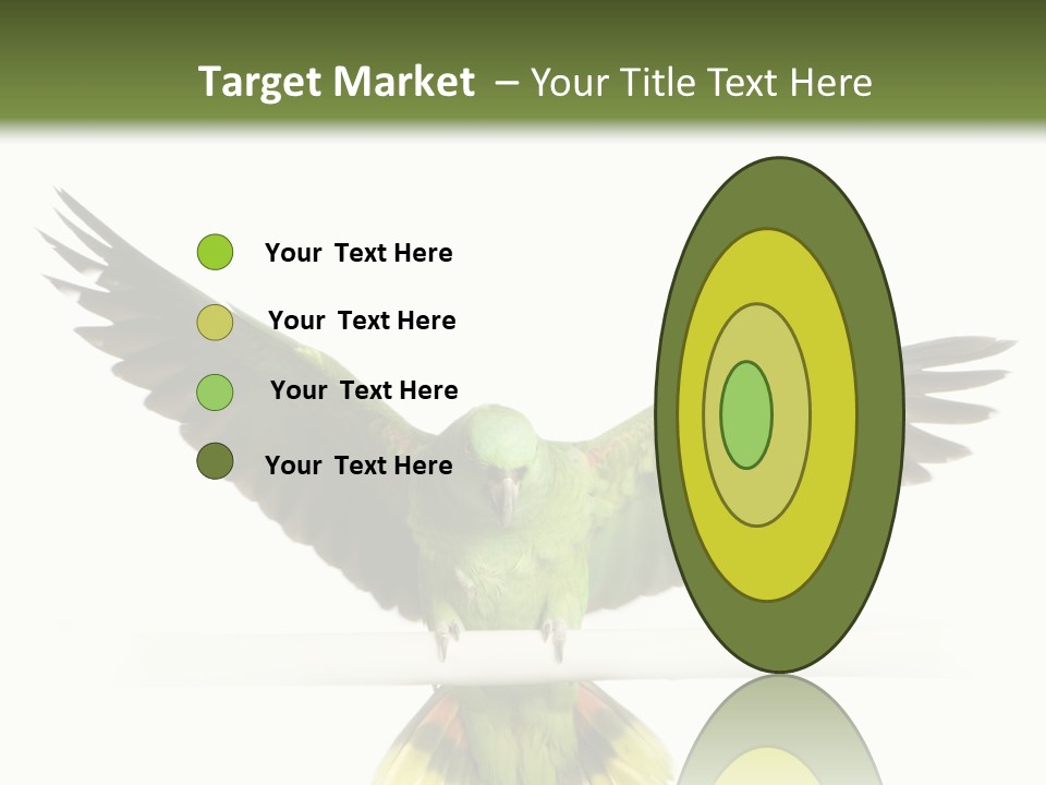 Yellow-Naped Parrot In Front Of A White Background PowerPoint Template