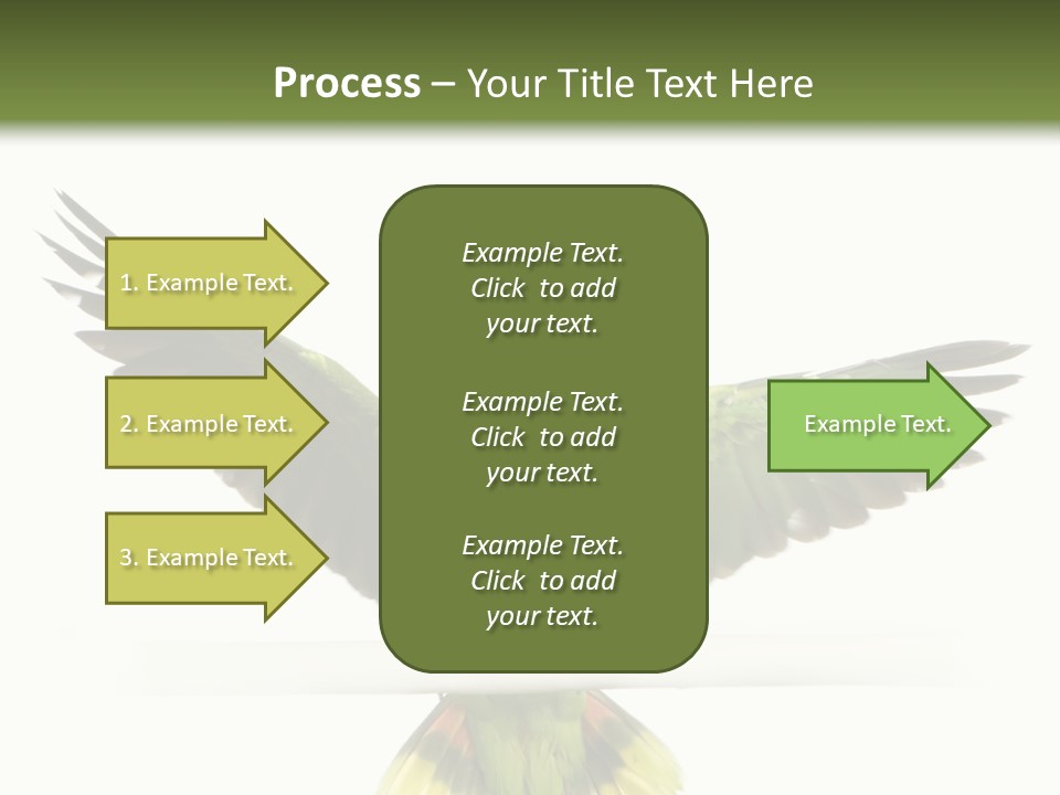 Yellow-Naped Parrot In Front Of A White Background PowerPoint Template