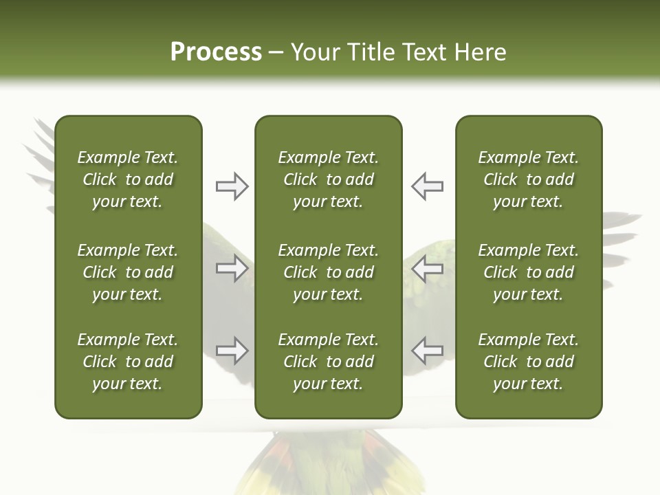 Yellow-Naped Parrot In Front Of A White Background PowerPoint Template