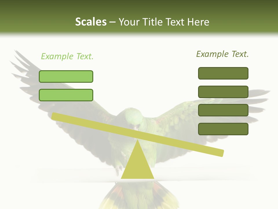 Yellow-Naped Parrot In Front Of A White Background PowerPoint Template