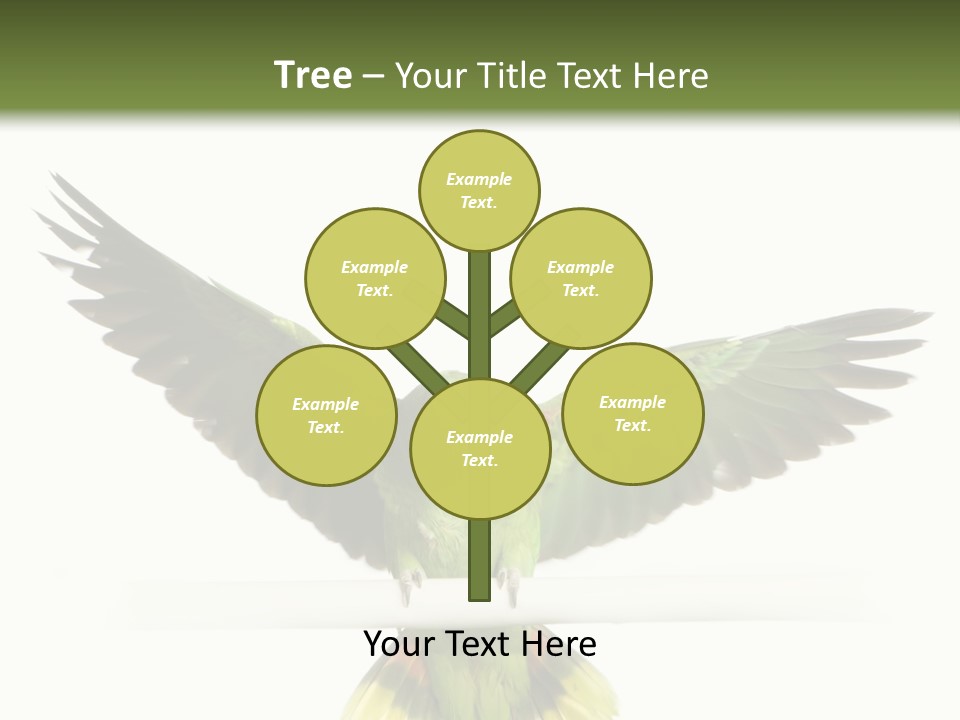 Yellow-Naped Parrot In Front Of A White Background PowerPoint Template