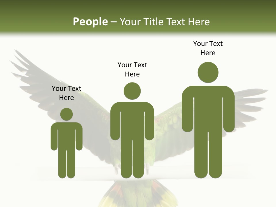 Yellow-Naped Parrot In Front Of A White Background PowerPoint Template