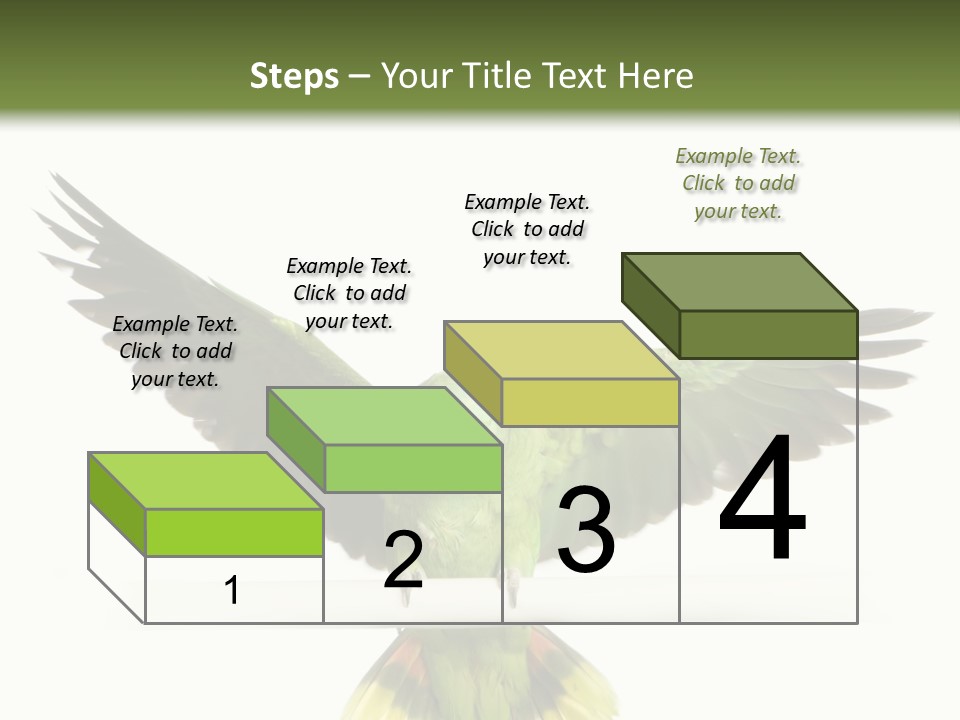 Yellow-Naped Parrot In Front Of A White Background PowerPoint Template