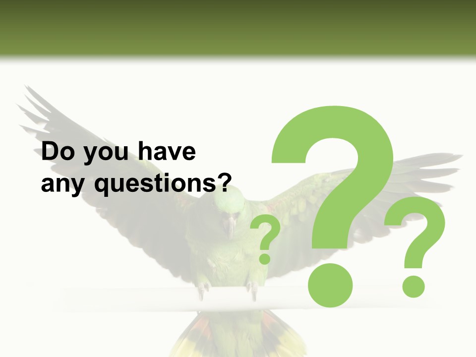Yellow-Naped Parrot In Front Of A White Background PowerPoint Template