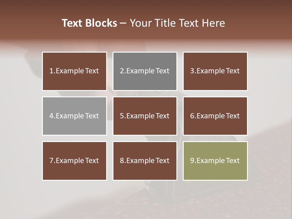 Cleaning Carpet PowerPoint Template