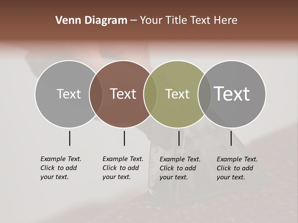 Cleaning Carpet PowerPoint Template
