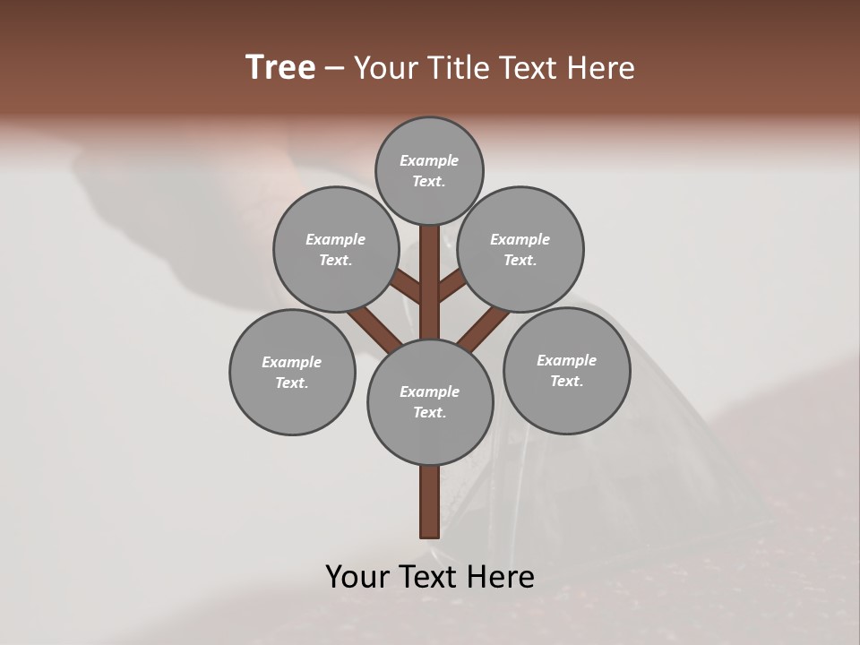 Cleaning Carpet PowerPoint Template