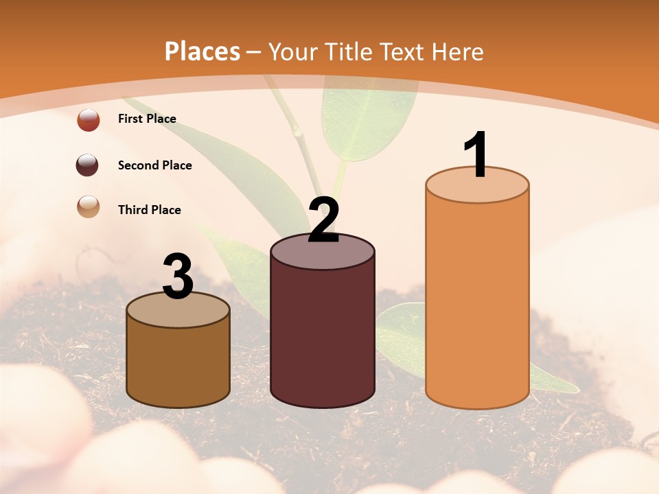 Hands Of The Child With A Young Plant. PowerPoint Template