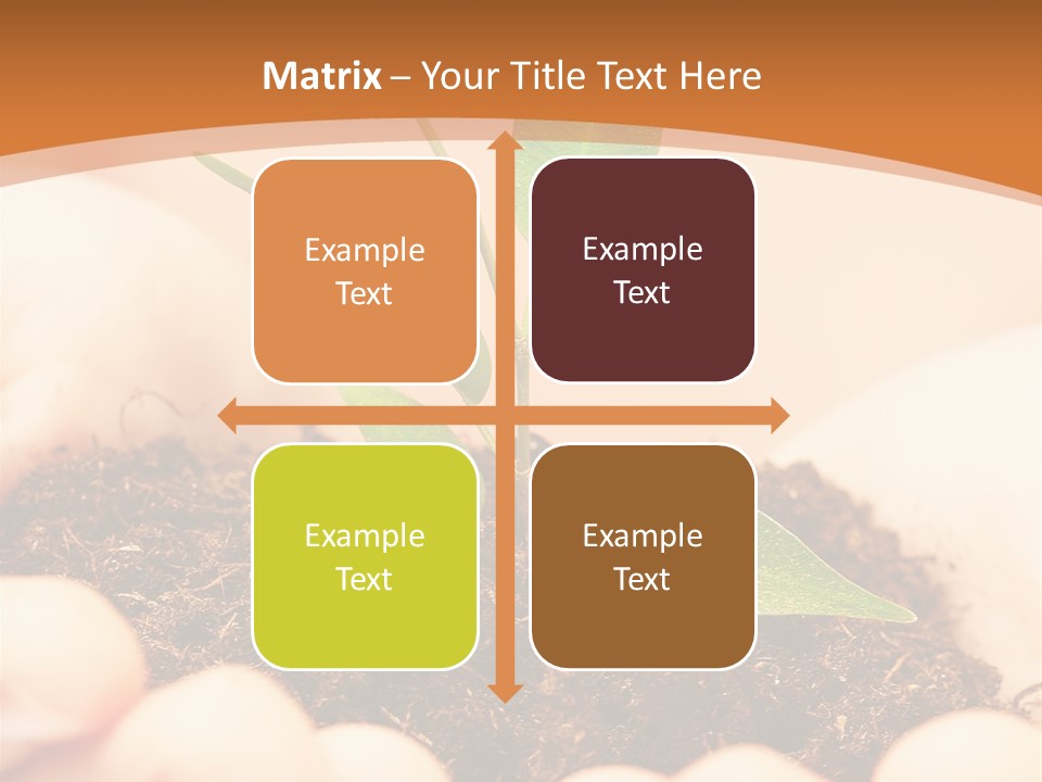 Hands Of The Child With A Young Plant. PowerPoint Template