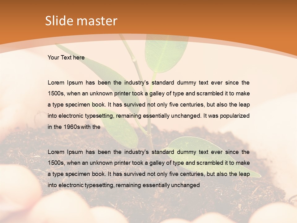 Hands Of The Child With A Young Plant. PowerPoint Template