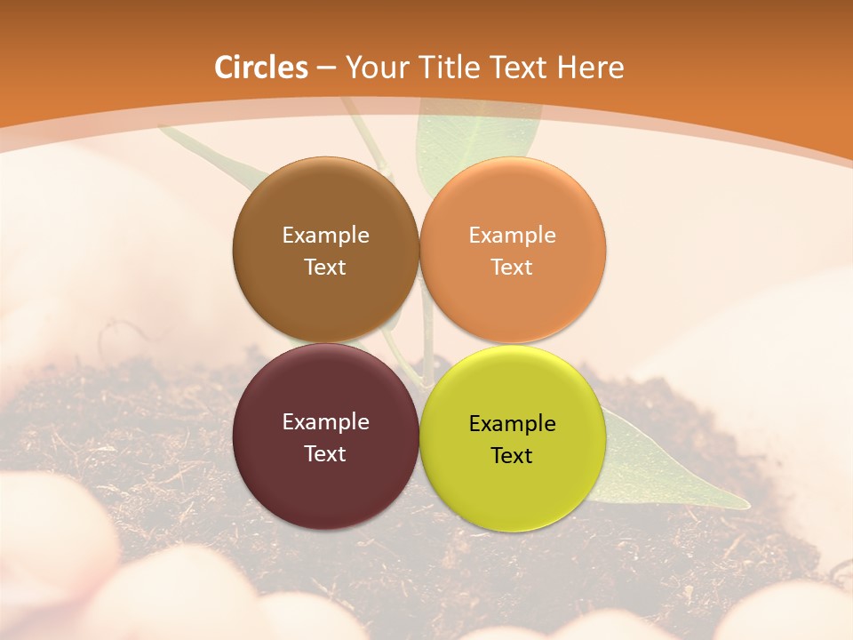 Hands Of The Child With A Young Plant. PowerPoint Template