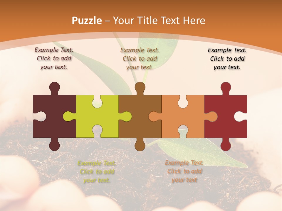 Hands Of The Child With A Young Plant. PowerPoint Template