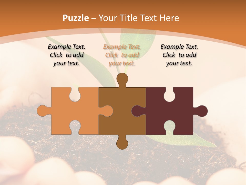 Hands Of The Child With A Young Plant. PowerPoint Template