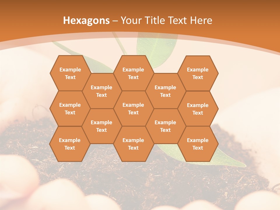 Hands Of The Child With A Young Plant. PowerPoint Template