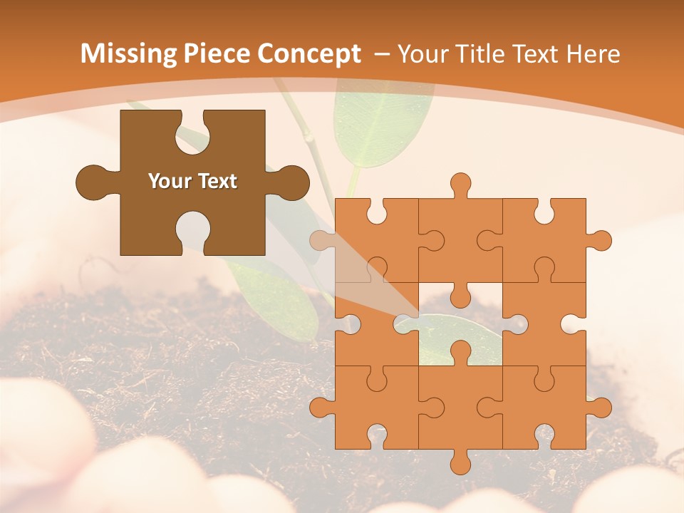 Hands Of The Child With A Young Plant. PowerPoint Template