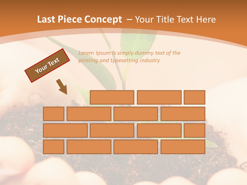 Hands Of The Child With A Young Plant. PowerPoint Template