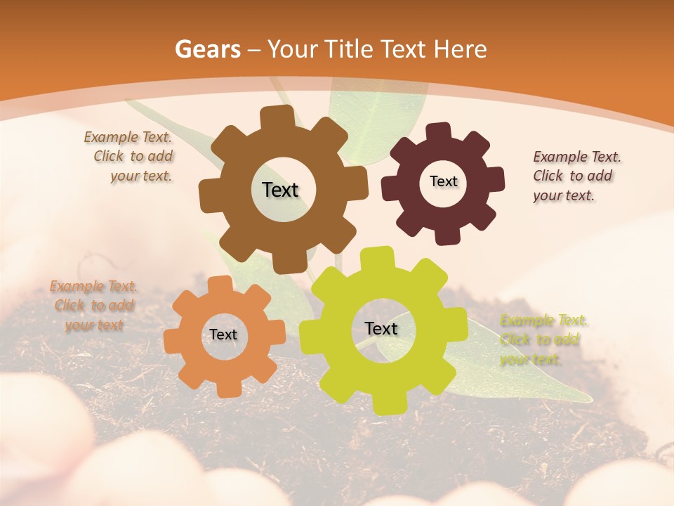 Hands Of The Child With A Young Plant. PowerPoint Template