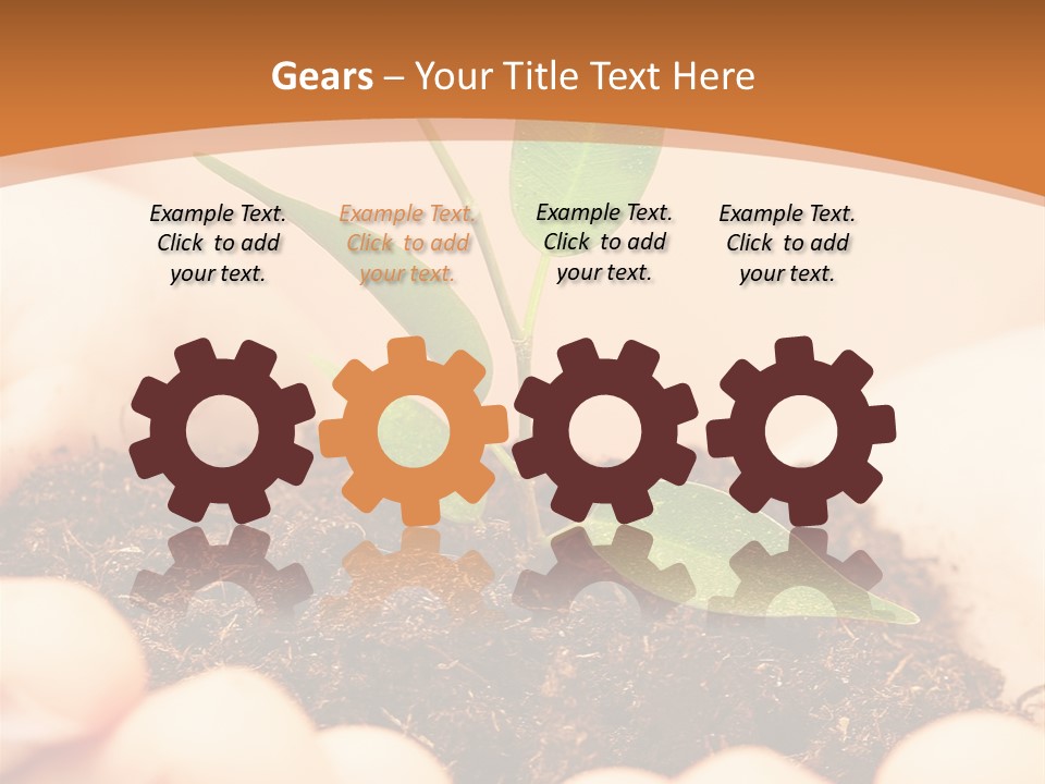 Hands Of The Child With A Young Plant. PowerPoint Template