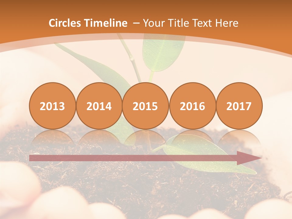 Hands Of The Child With A Young Plant. PowerPoint Template