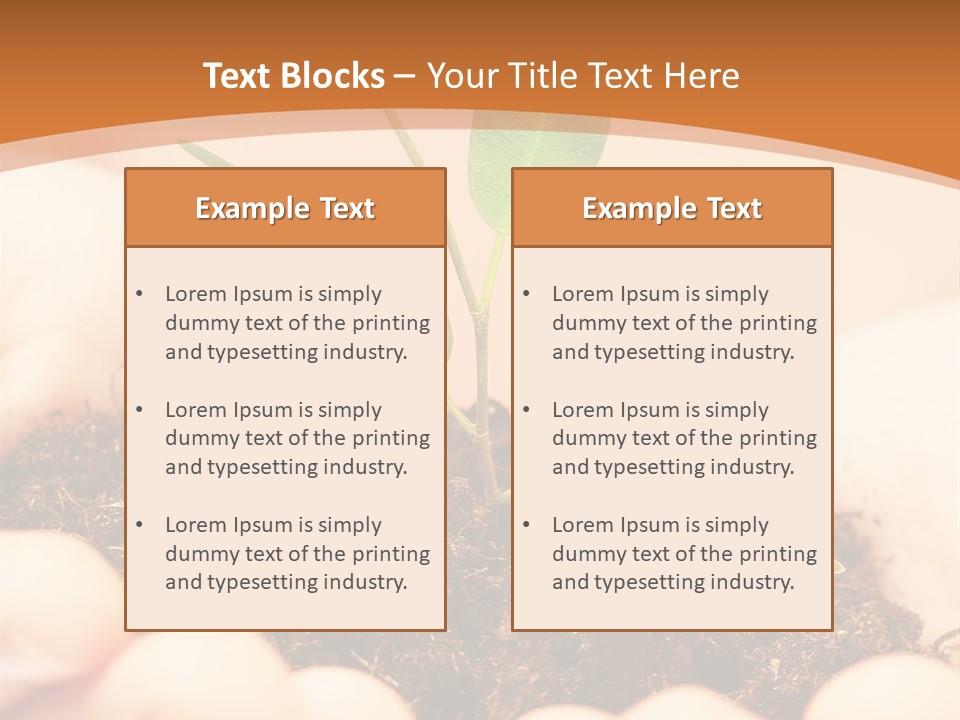 Hands Of The Child With A Young Plant. PowerPoint Template