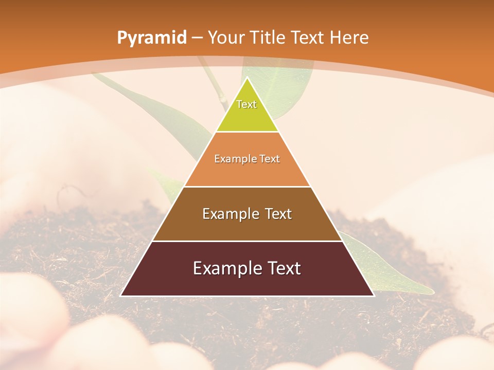 Hands Of The Child With A Young Plant. PowerPoint Template