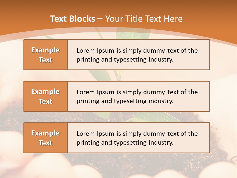 Hands Of The Child With A Young Plant. PowerPoint Template
