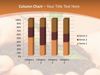 Hands Of The Child With A Young Plant. PowerPoint Template