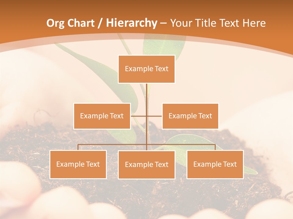 Hands Of The Child With A Young Plant. PowerPoint Template