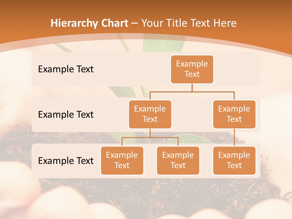 Hands Of The Child With A Young Plant. PowerPoint Template