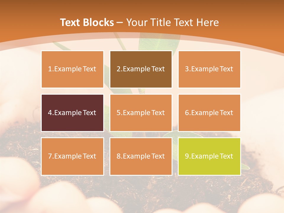 Hands Of The Child With A Young Plant. PowerPoint Template