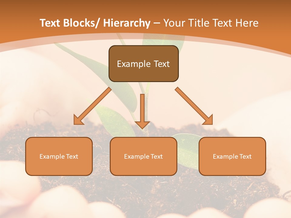 Hands Of The Child With A Young Plant. PowerPoint Template