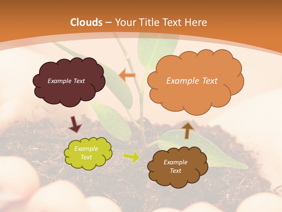 Hands Of The Child With A Young Plant. PowerPoint Template
