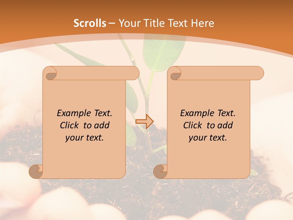 Hands Of The Child With A Young Plant. PowerPoint Template