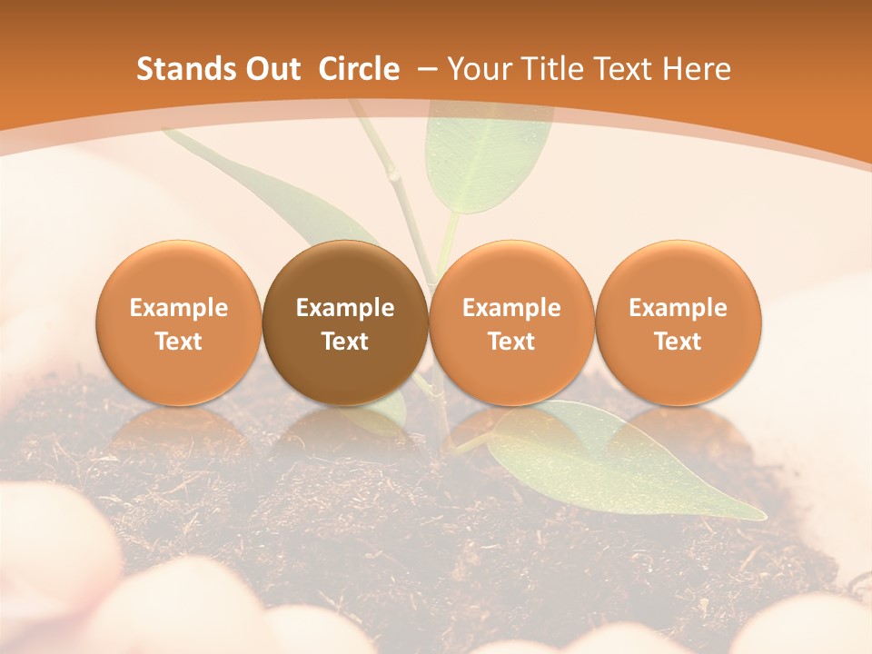 Hands Of The Child With A Young Plant. PowerPoint Template