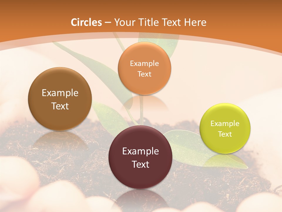 Hands Of The Child With A Young Plant. PowerPoint Template