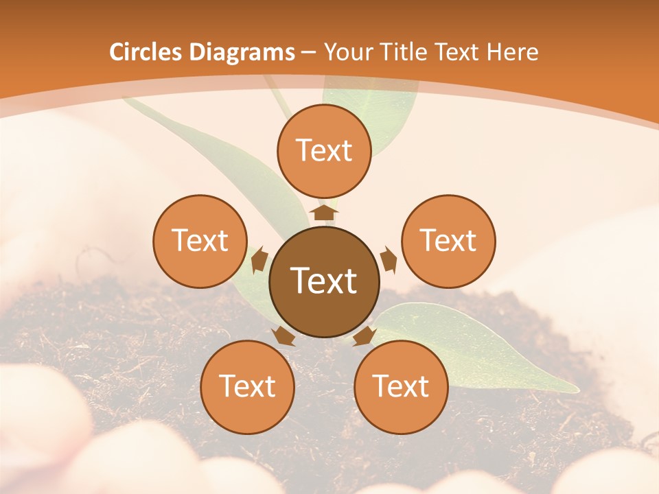 Hands Of The Child With A Young Plant. PowerPoint Template