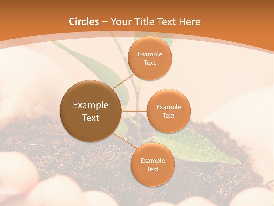 Hands Of The Child With A Young Plant. PowerPoint Template