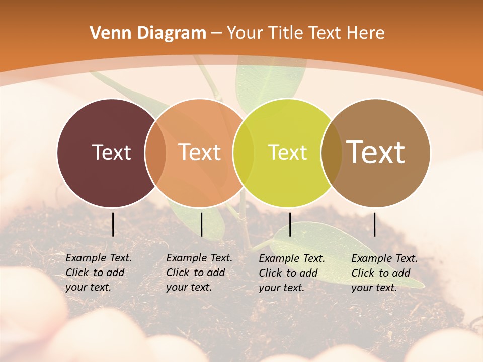 Hands Of The Child With A Young Plant. PowerPoint Template