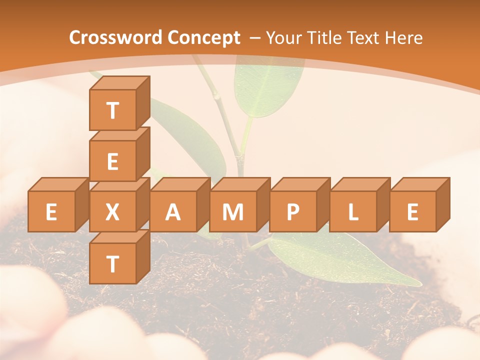 Hands Of The Child With A Young Plant. PowerPoint Template