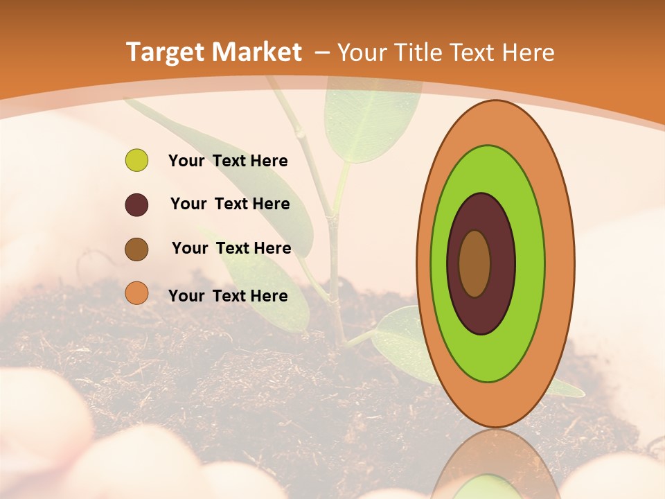 Hands Of The Child With A Young Plant. PowerPoint Template