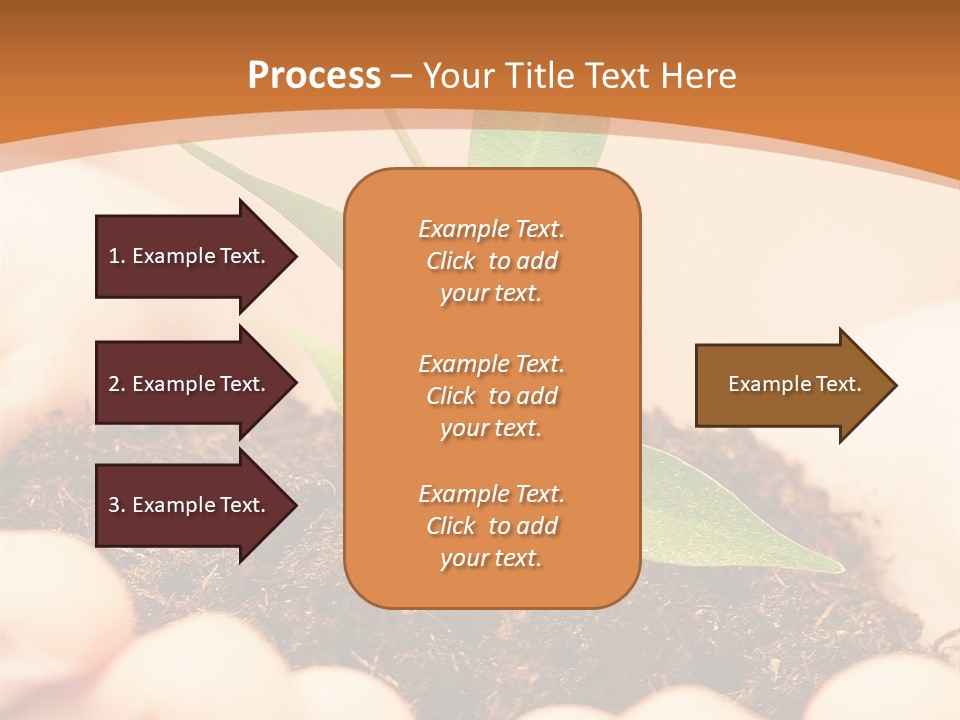 Hands Of The Child With A Young Plant. PowerPoint Template