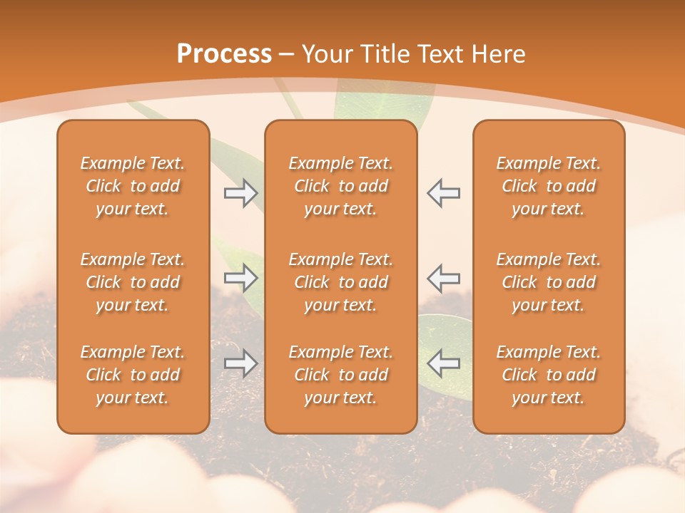 Hands Of The Child With A Young Plant. PowerPoint Template
