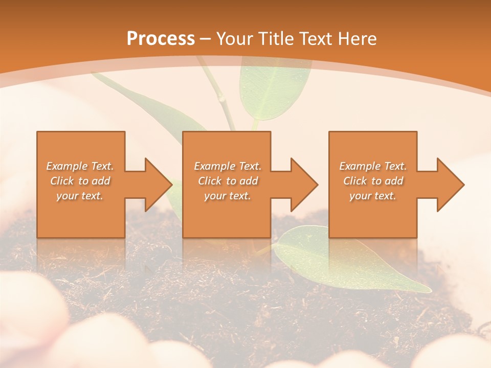 Hands Of The Child With A Young Plant. PowerPoint Template
