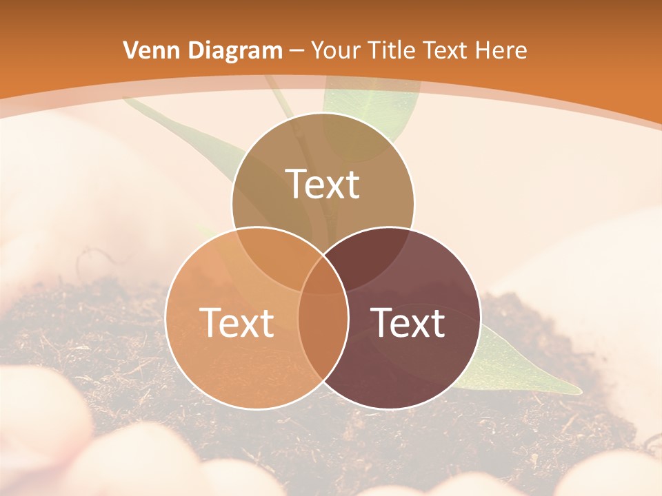 Hands Of The Child With A Young Plant. PowerPoint Template