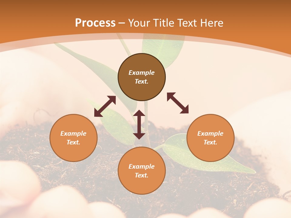 Hands Of The Child With A Young Plant. PowerPoint Template