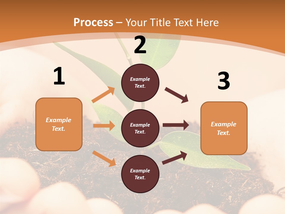 Hands Of The Child With A Young Plant. PowerPoint Template