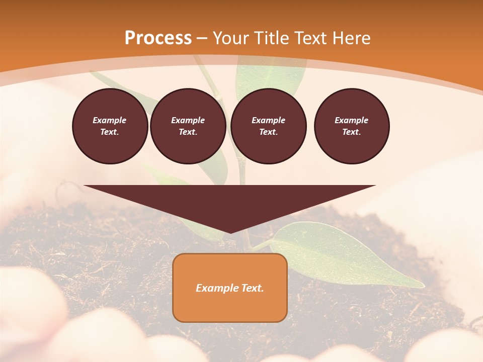 Hands Of The Child With A Young Plant. PowerPoint Template